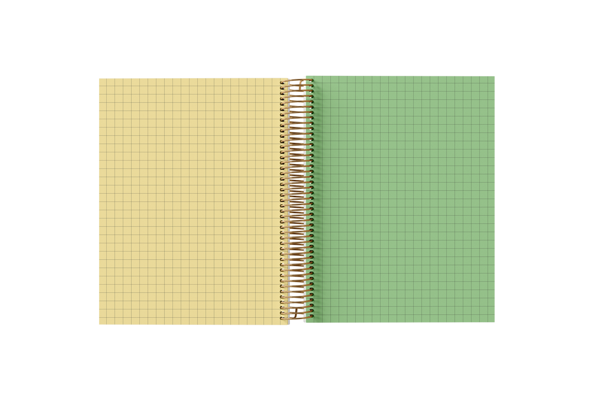 GRAPH Paper Holographic Notebook by BERTEAU & Co.