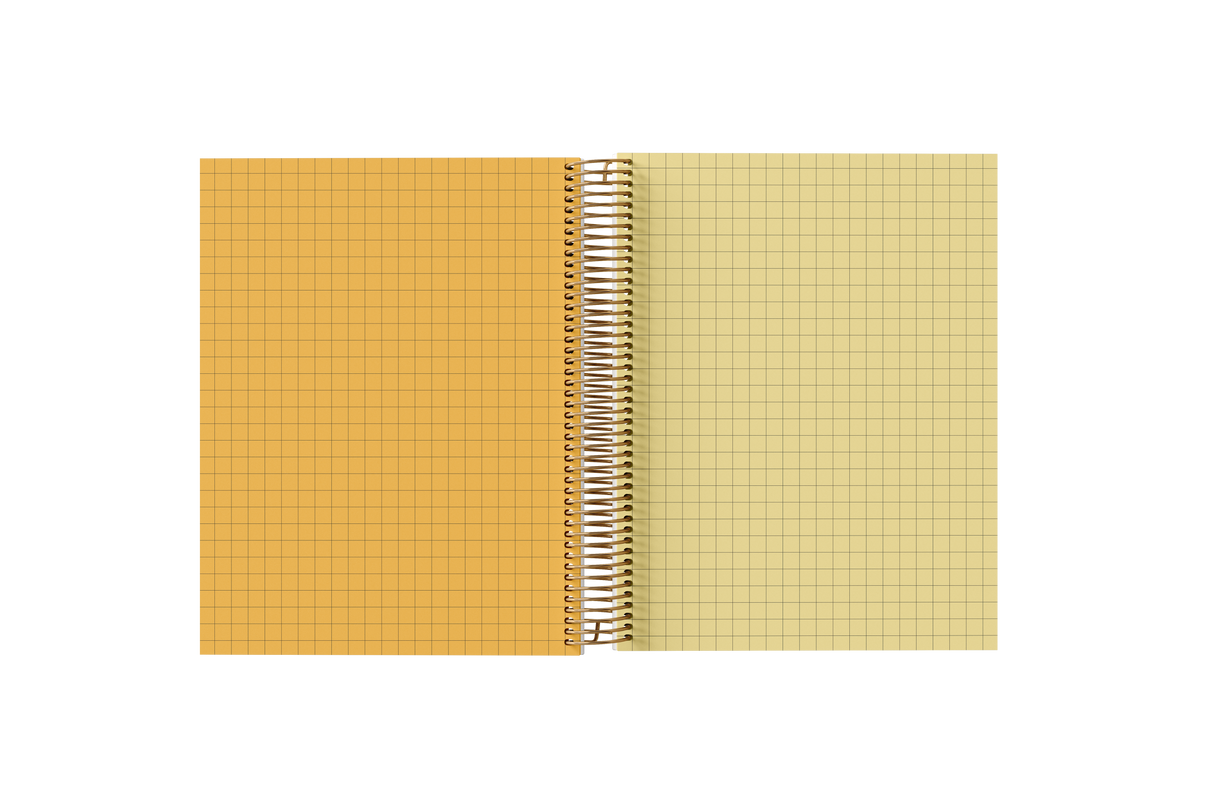 GRAPH Paper Holographic Notebook by BERTEAU & Co.