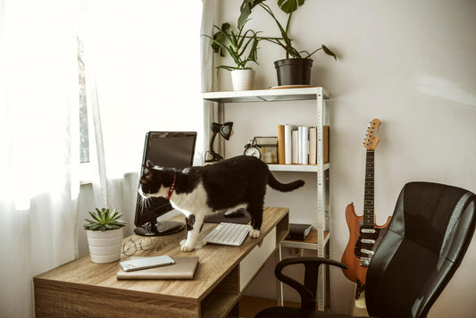 How to Create an Office Space in Small Homes