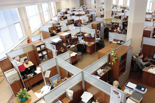 Navigating Cubicle Life: Enhancing Your Workspace for Better Productivity