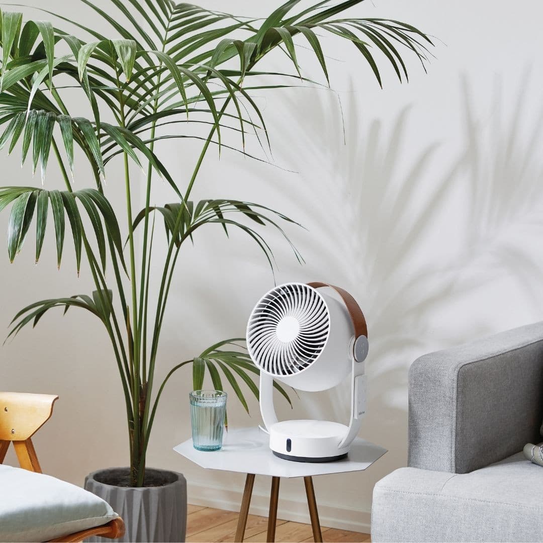 LEO Table Fan