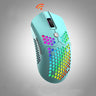 Laptop Mouse