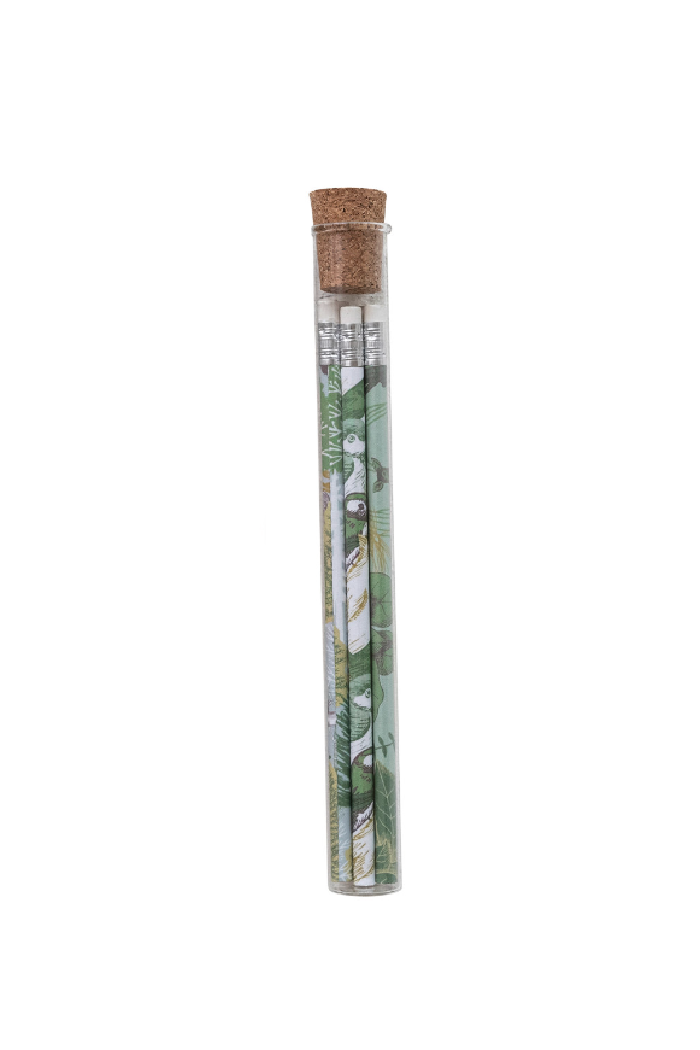 Recycled Paper Wrapped Wood Pencils S/5