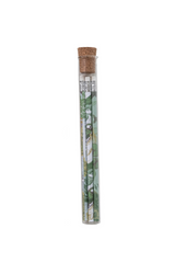 Recycled Paper Wrapped Wood Pencils S/5