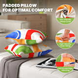 18 x 18 Inch Inches Square Throw Pillows with Removable and Washable Velvet Pillow Cases