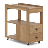 2-Drawer Sofa Side Table with Shelves for Living Room