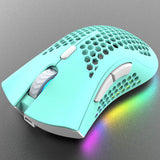 Wireless RGB Gaming Mouse with Electric Charging