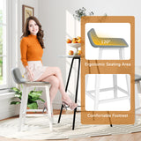 24 Inch Counter Height Bar Stools Set of 2 with Low Back