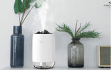 Mini USB Home and Car Humidifier Atomizer
