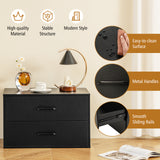 2-Drawer Stackable Horizontal Storage Cabinet Dresser Chest with Handles