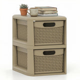 2-Drawer Storage Organizer with Wicker Patterns-Brown