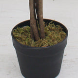 Tall Lifelike Potted Tree