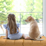 14-Position Adjustable Folding Lazy Gaming Sofa