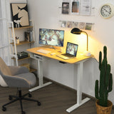 48 Inches Electric Standing Adjustable Desk with Control Panel and USB Port