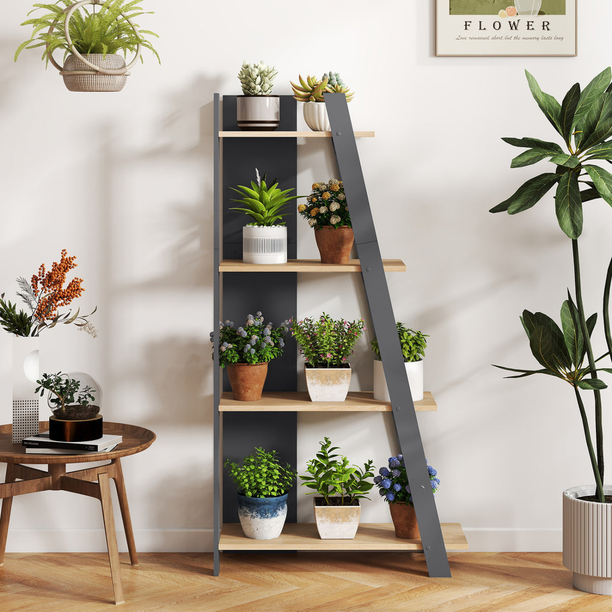 4-Tier Modern Bookshelf Wooden Vertical Display Book Shelf for Small Space