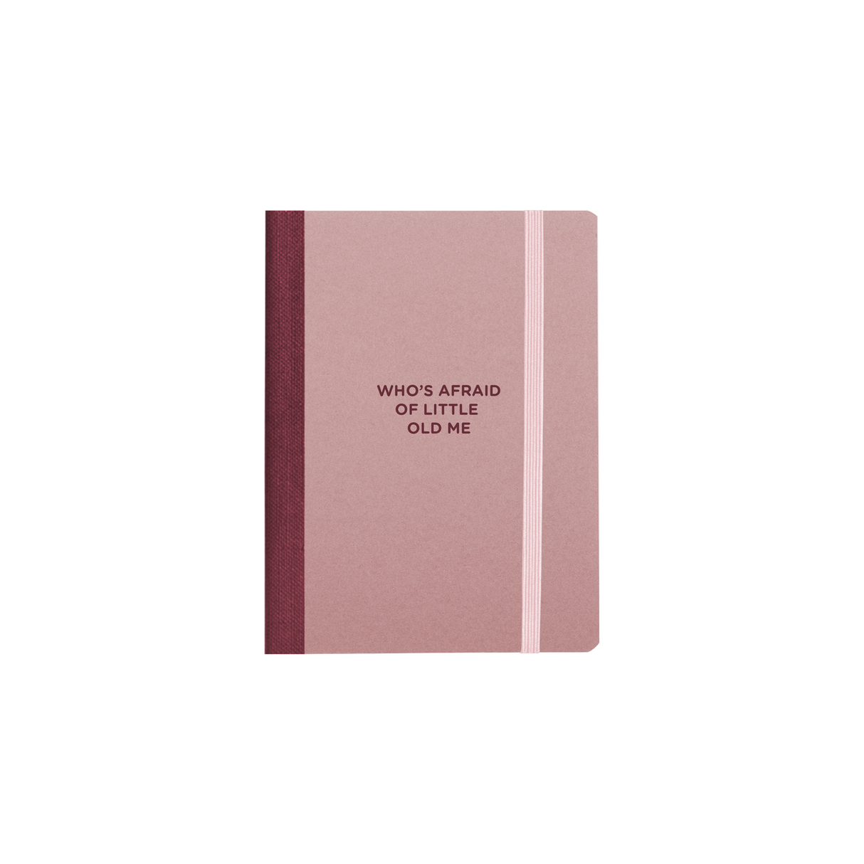 Who's Afraid Of Me Mini Notebook