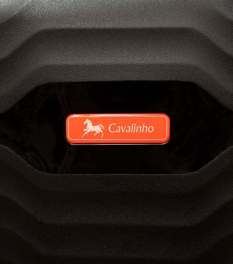 Check-in Hardside Luggage (24" or 28")