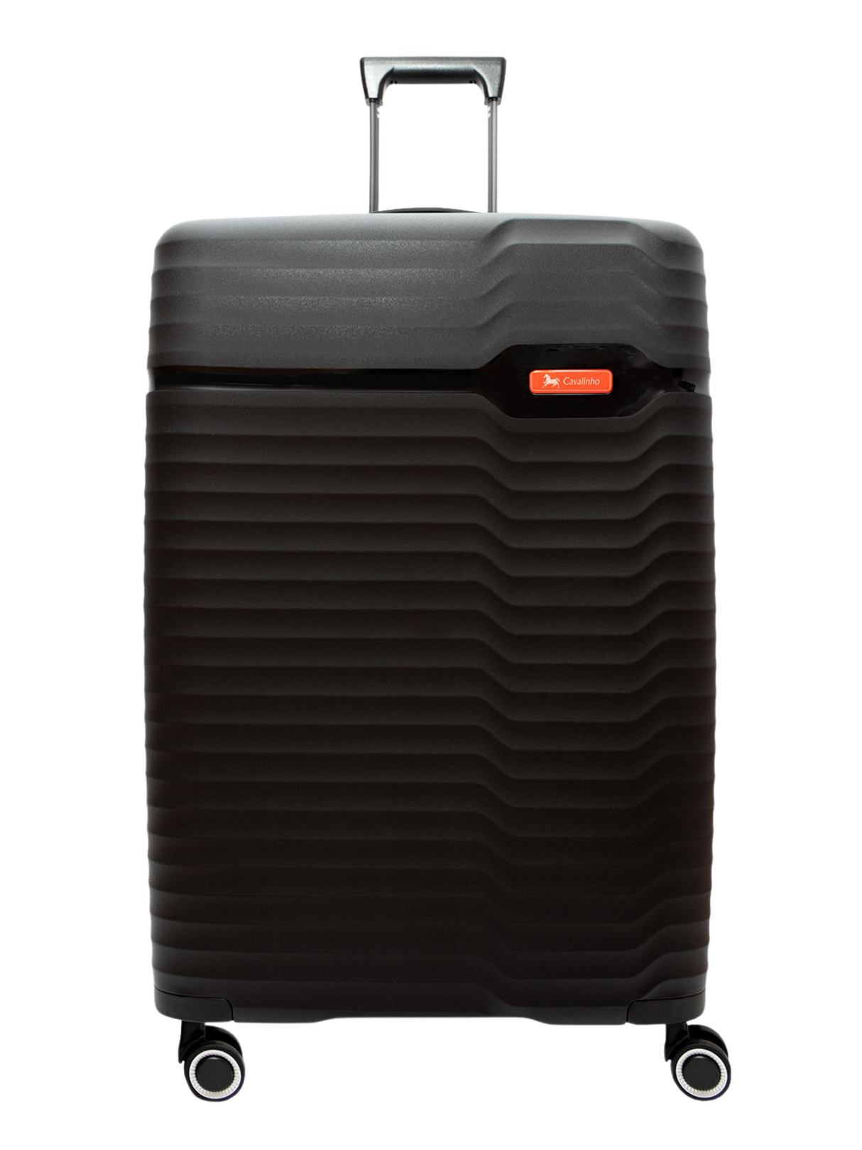 Check-in Hardside Luggage (24" or 28")