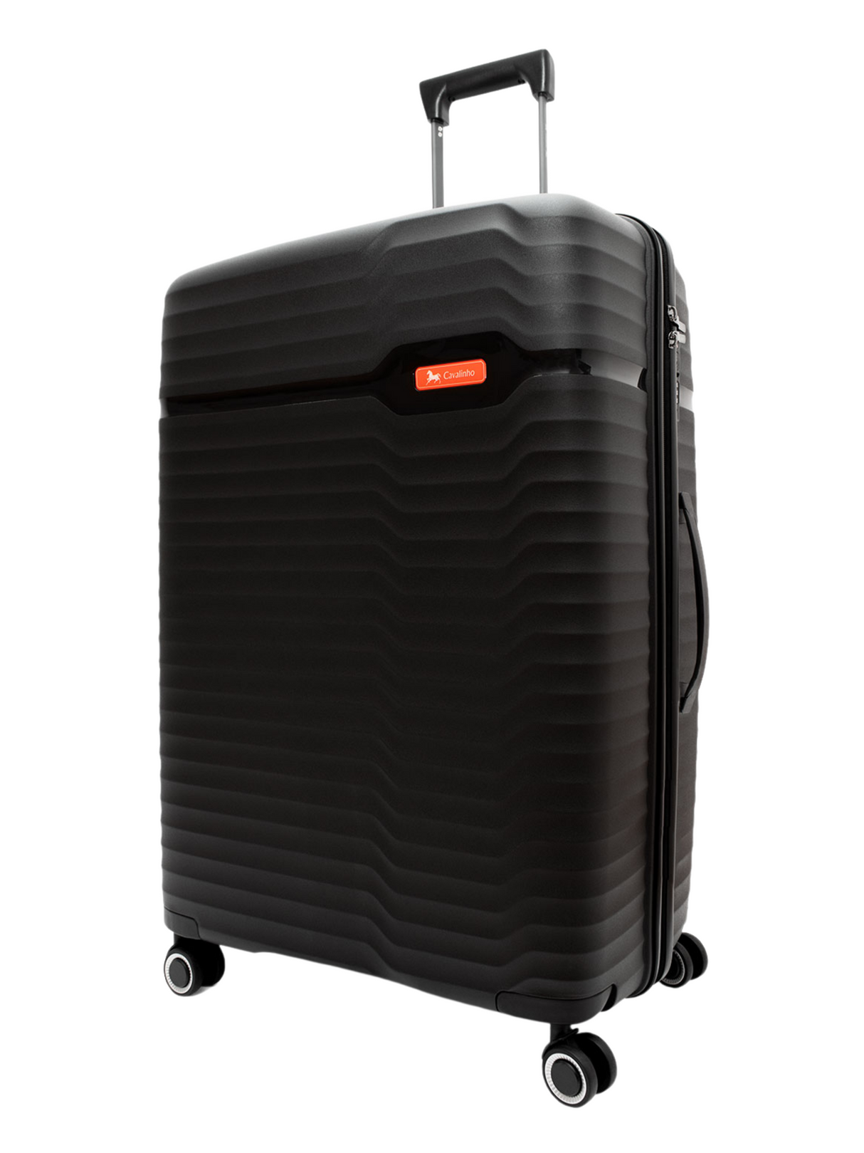 Check-in Hardside Luggage (24" or 28")