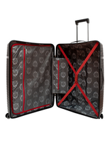 Check-in Hardside Luggage (24" or 28")