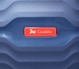 Check-in Hardside Luggage (24" or 28")