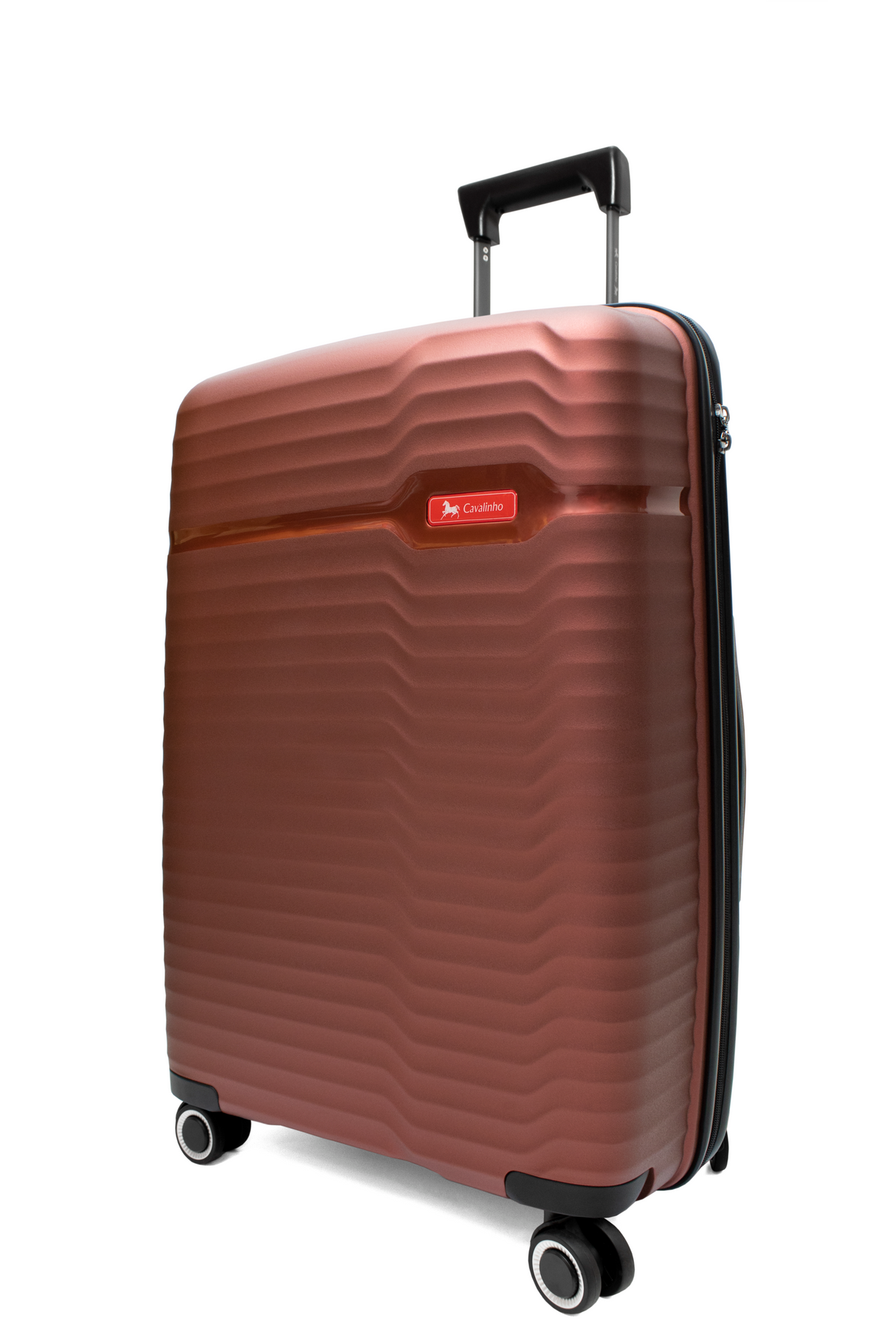 Check-in Hardside Luggage (24" or 28")