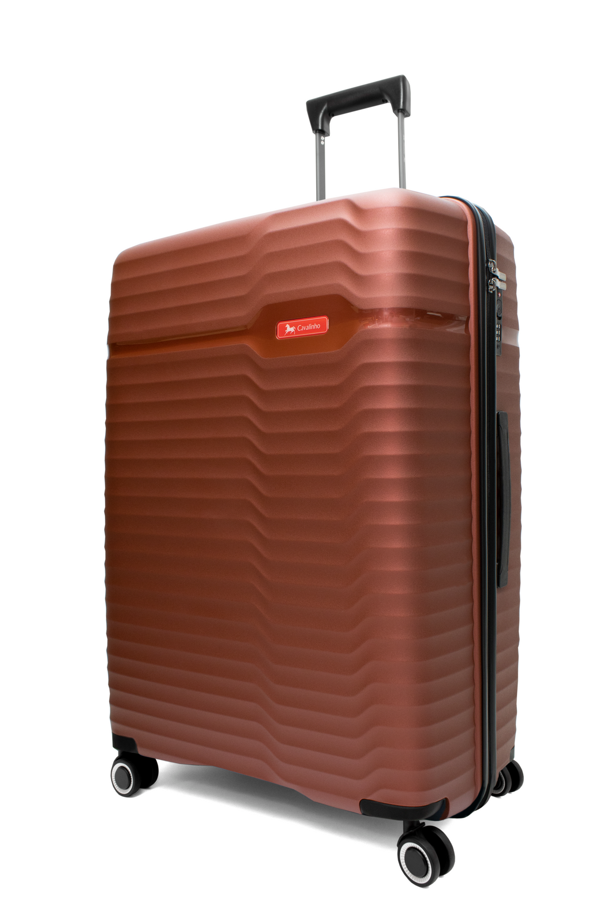 Check-in Hardside Luggage (24" or 28")
