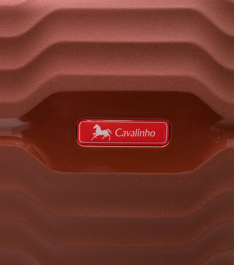 Check-in Hardside Luggage (24" or 28")