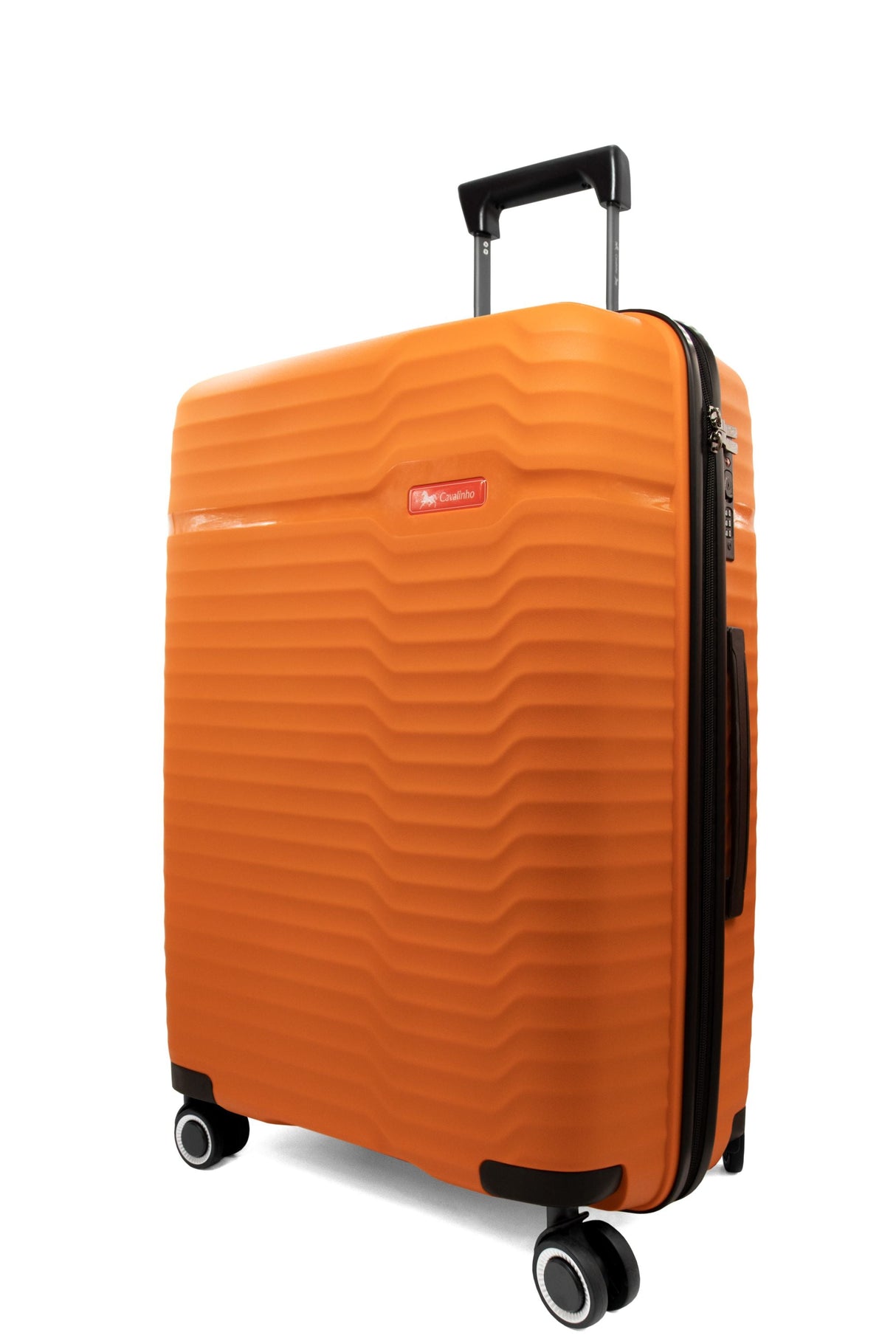 Check-in Hardside Luggage (24" or 28")