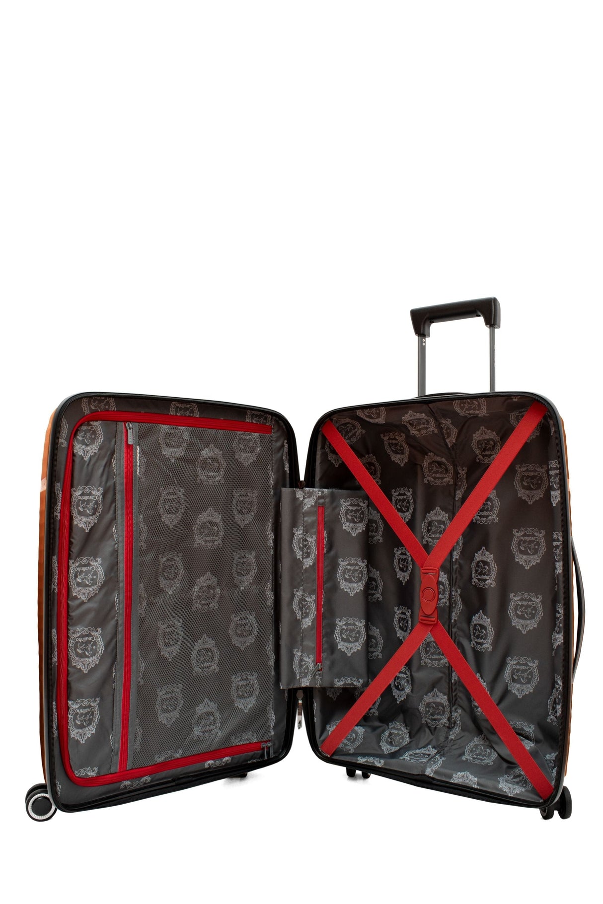Check-in Hardside Luggage (24" or 28")
