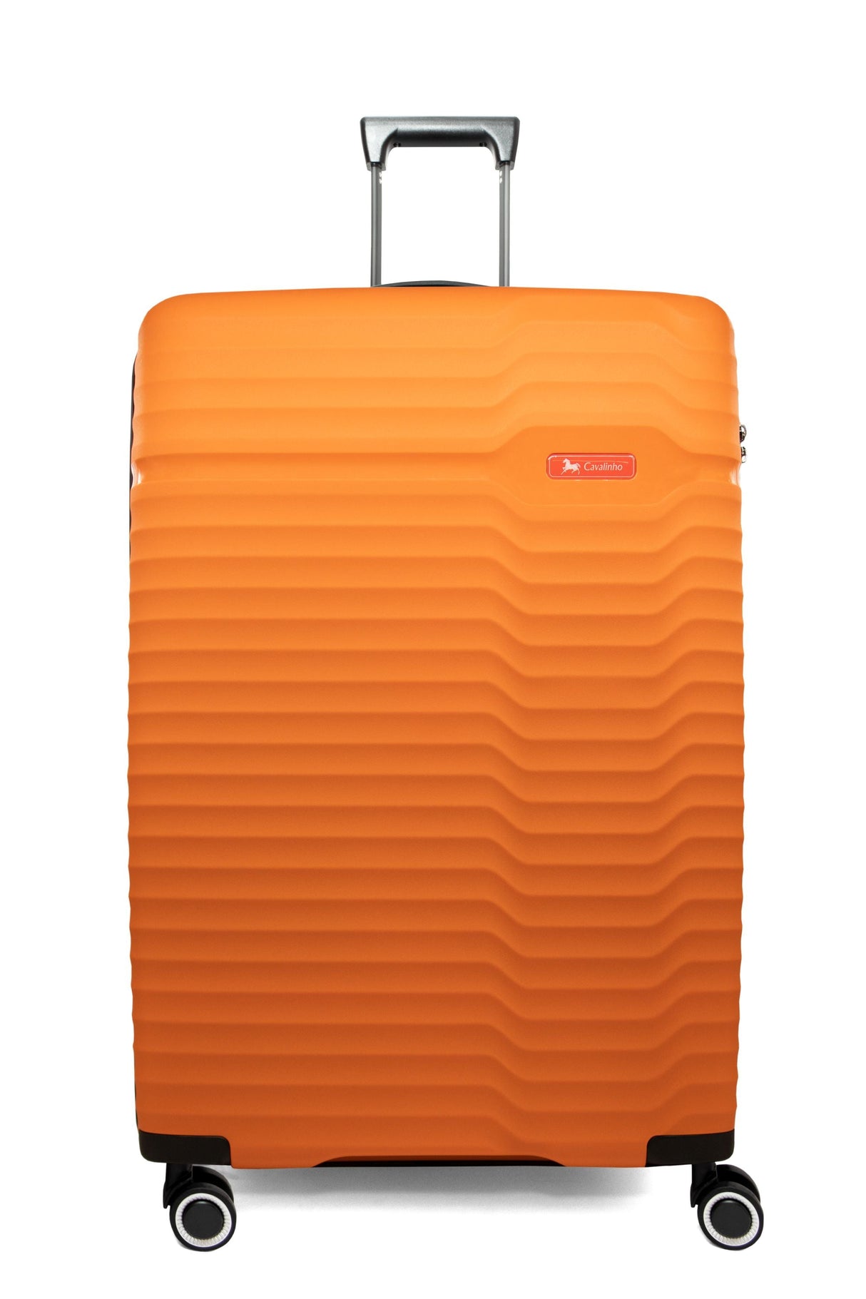 Check-in Hardside Luggage (24" or 28")
