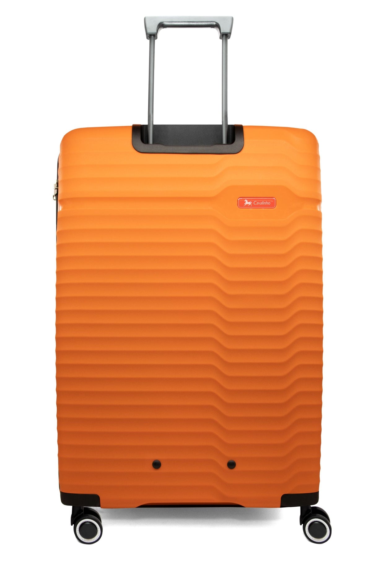 Check-in Hardside Luggage (24" or 28")
