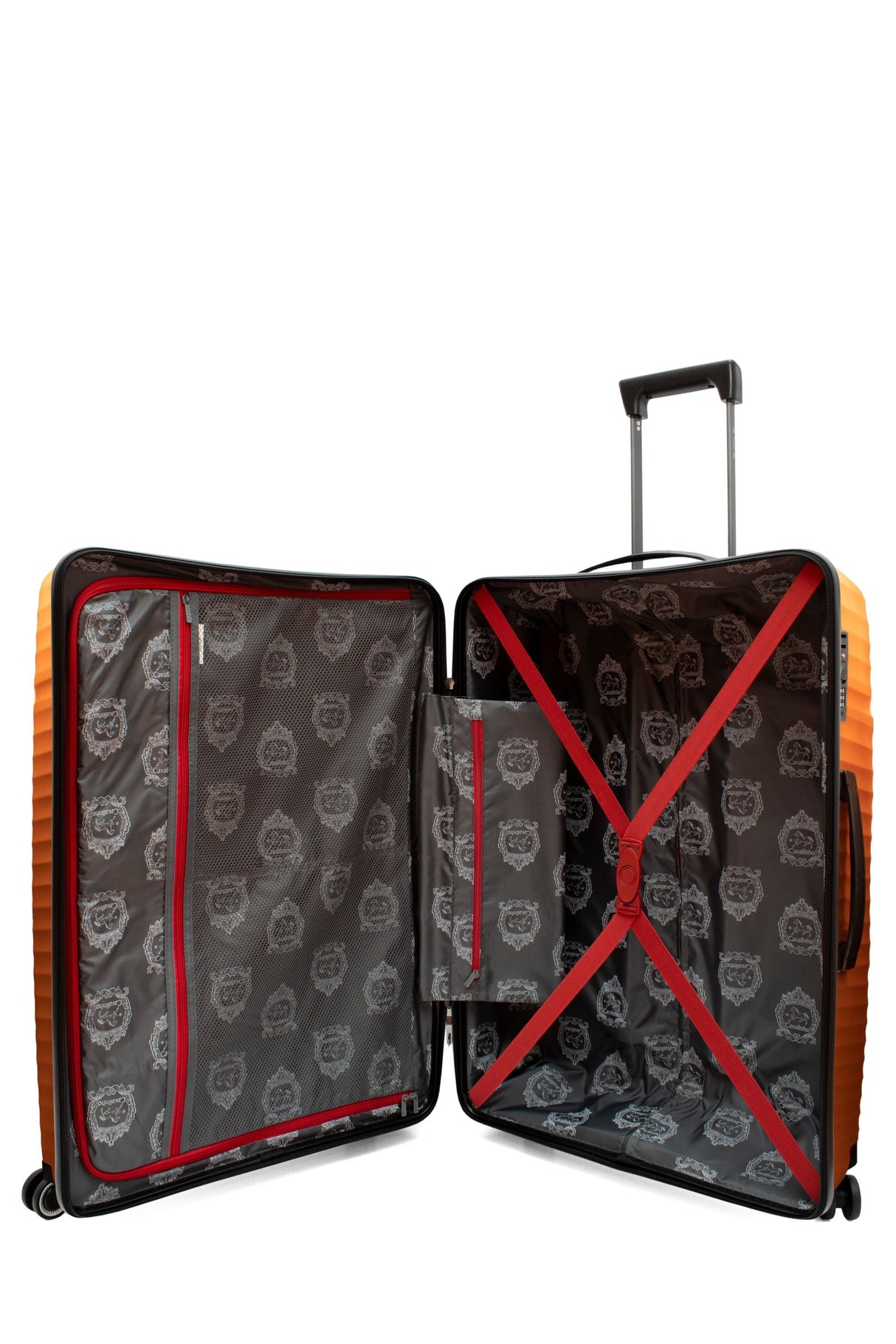 Check-in Hardside Luggage (24" or 28")