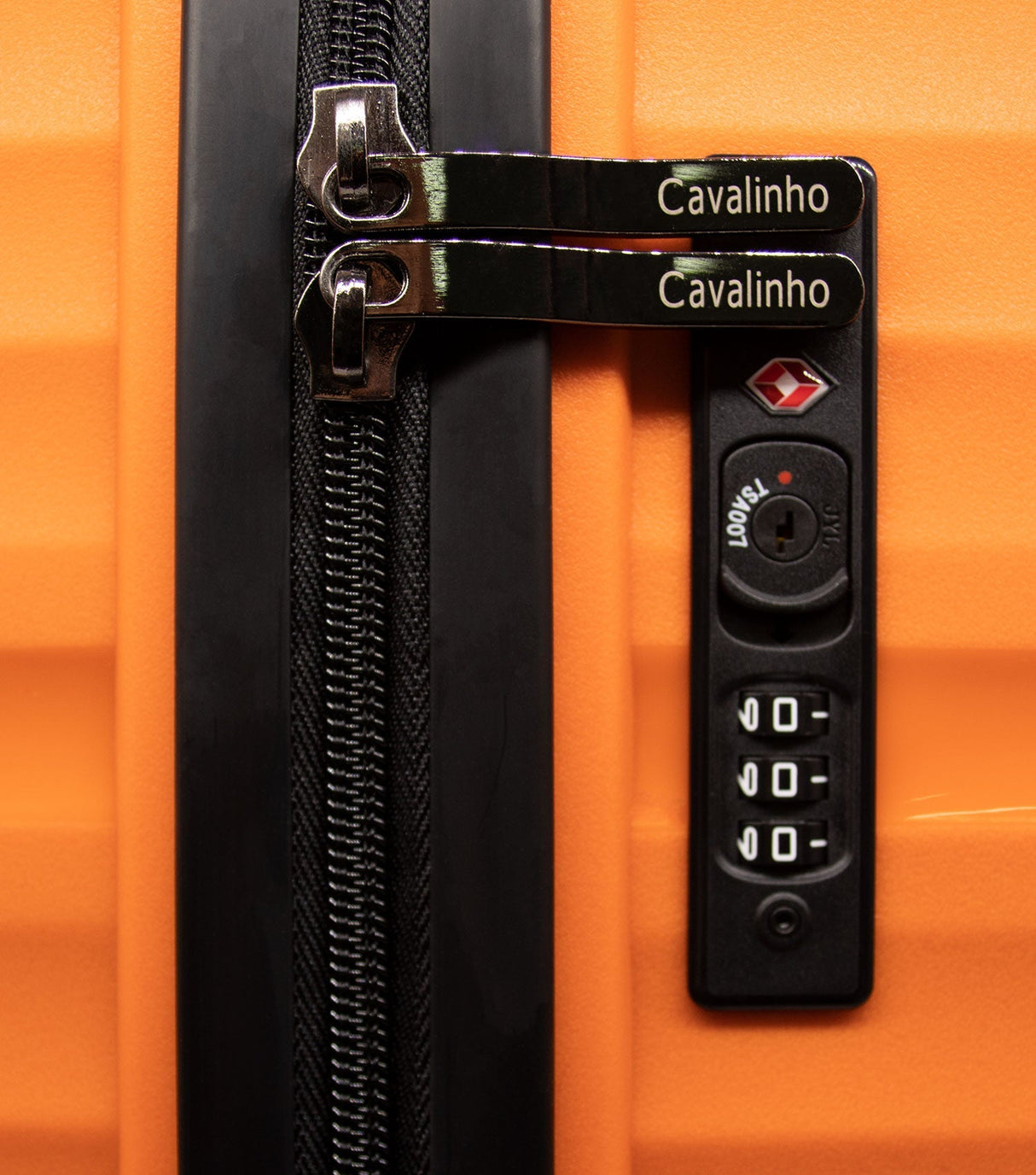 Check-in Hardside Luggage (24" or 28")