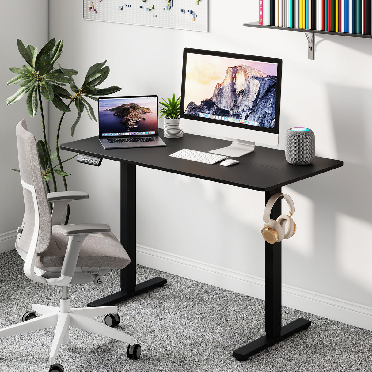 48 Inch x 24 Inch Ergonomic Electric Standing Desk with 3 Memory Settings for Home Office