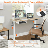 48 Inches Electric Standing Adjustable Desk with Control Panel and USB Port