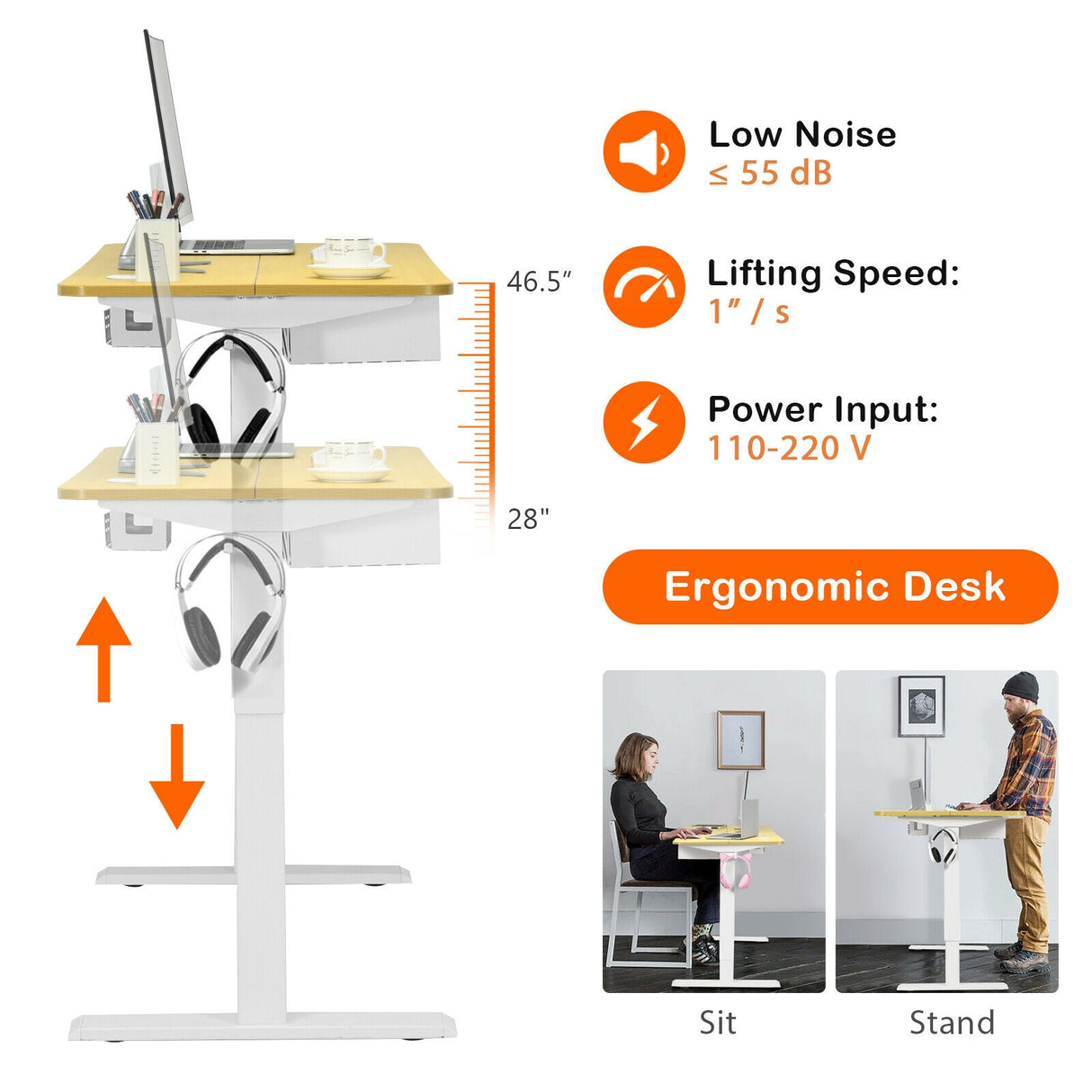 48 Inches Electric Standing Adjustable Desk with Control Panel and USB Port