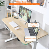 48 Inches Electric Standing Adjustable Desk with Control Panel and USB Port
