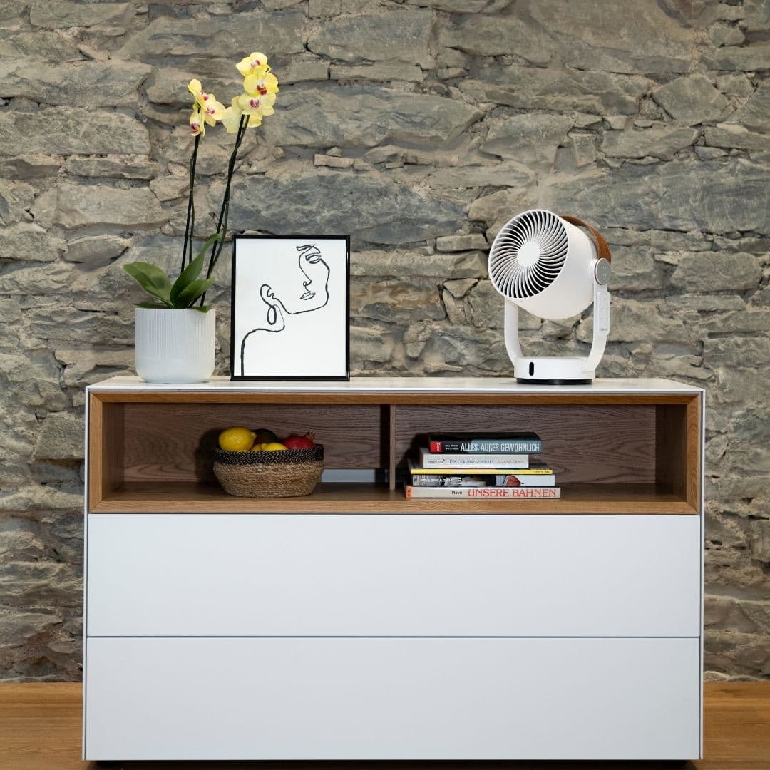 LEO Table Fan