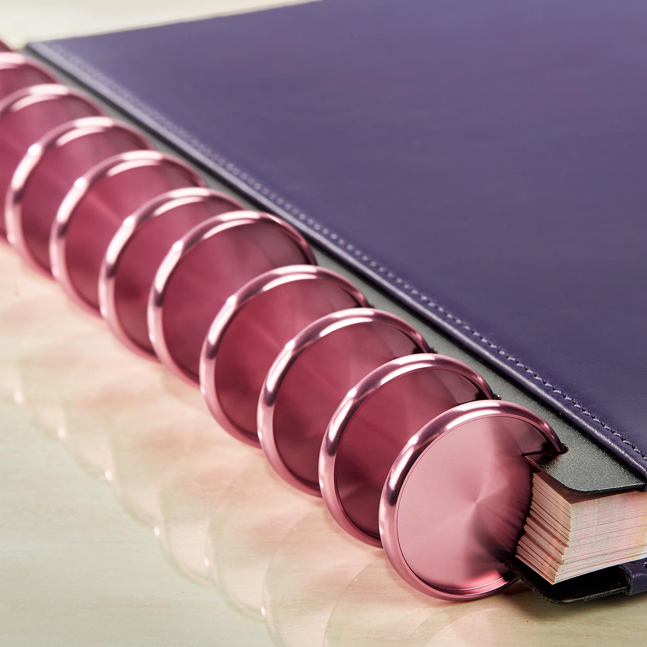 Aluminum Circa Notebook Discs (set of 11)