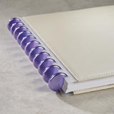 Aluminum Circa Notebook Discs (set of 11)