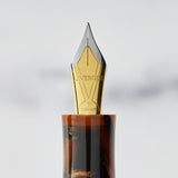 True Writer Classic Golden Dark Tortoise Fountain Pen