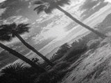 Palm Sunset, Desert Light, Silhouetted Trees, Framed Canvas Print, Tropical Boho Wall Art, Sunset Living Room Decor, Moody Nature Style
