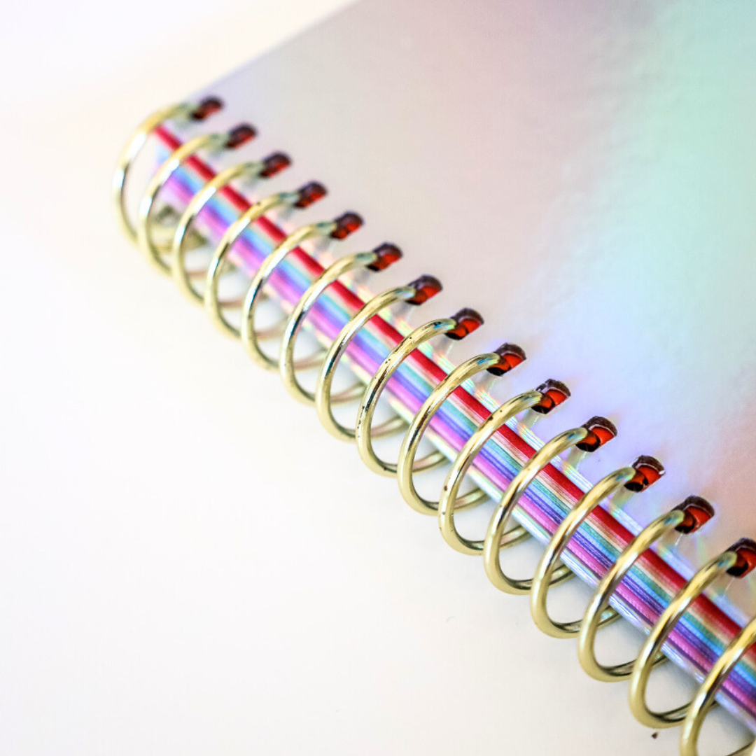 Graph Paper Holographic Notebook by BERTEAU & Co.