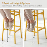 Bar Stools Set of 2 with Sturdy Metal Frame and Footrest