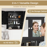 Bathroom Wall Mount Mirror Cabinet Organizer
