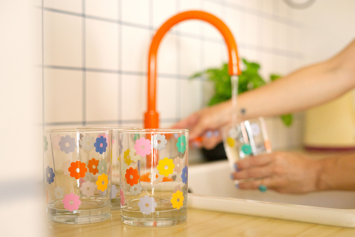 Rocks Glass Set - Daisy