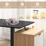 Electric Standing Desk with 3 Memory Heights and 2 Hanging Hooks and Cable Holes