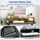 48 Inch x 24 Inch Height Adjustable Electric Standing Desk with 2 Drawers