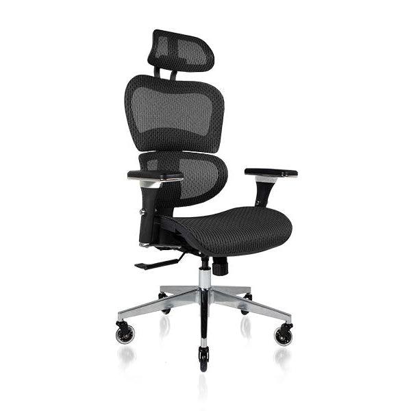 NOUHAUS Ergo3D Ergonomic Office Chair